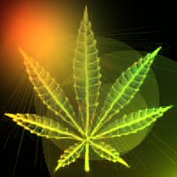 Ganja
